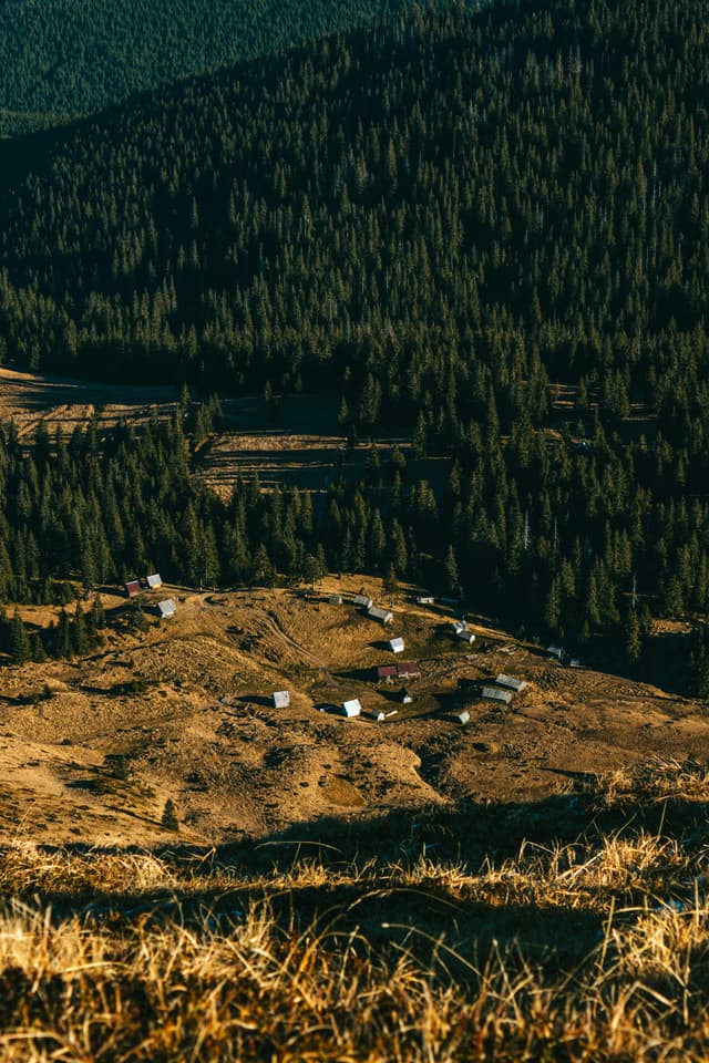 Top 5 festivaluri eco-friendly din România în 2025