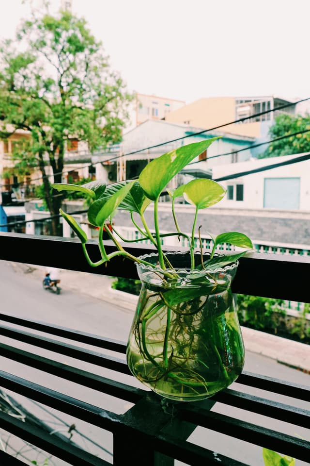 Cum să trăiești eco într-un apartament mic