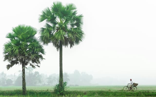 Ghidul complet al agriculturii organice în 2025