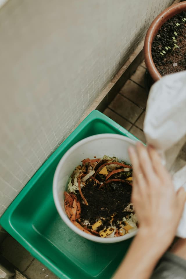 Cum să-ți faci propriul compost acasă