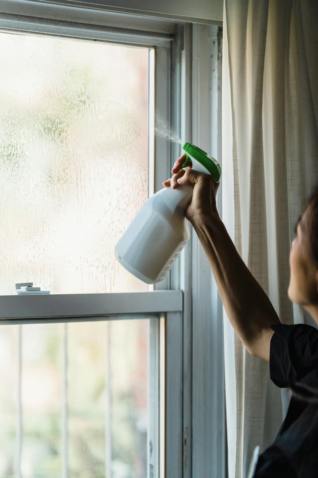 Rețete de produse de curățenie eco pe care le poți face acasă