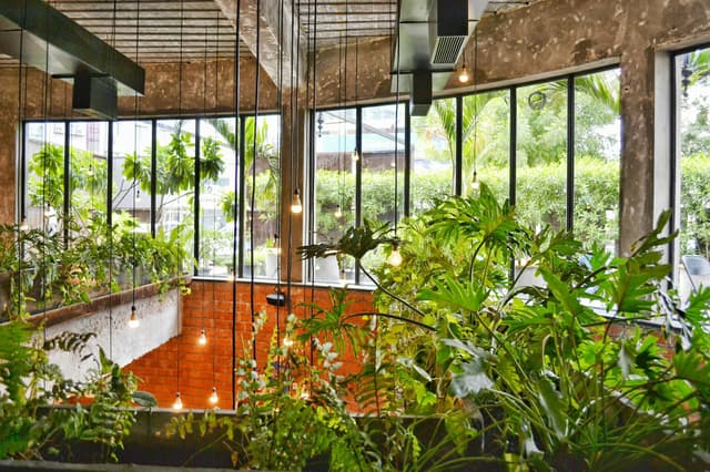 Cum să-ți transformi balconul într-o mini-seră eco